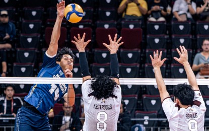 Bulldogs overcome faltering Maroons in UAAP men’s volleyball