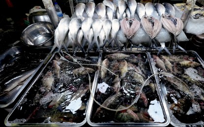 Fish Inflation BSP sees September inflation at 1.5%–2.3%