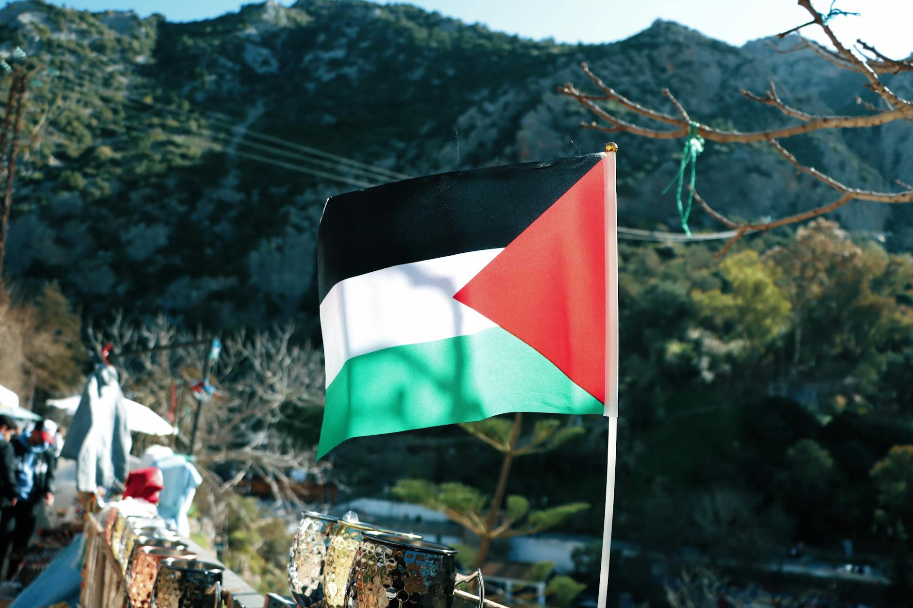 palestinian flag waving amidst scenic mountains